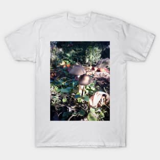 Little mushroom in the garden T-Shirt